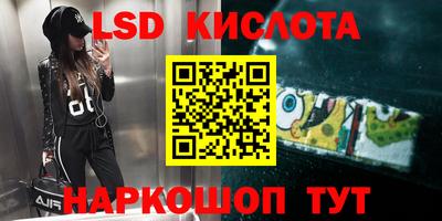 ГАЛЛЮЦИНОГЕННЫЕ ГРИБЫ Можга