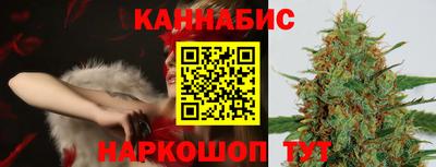 стаф Гатчина
