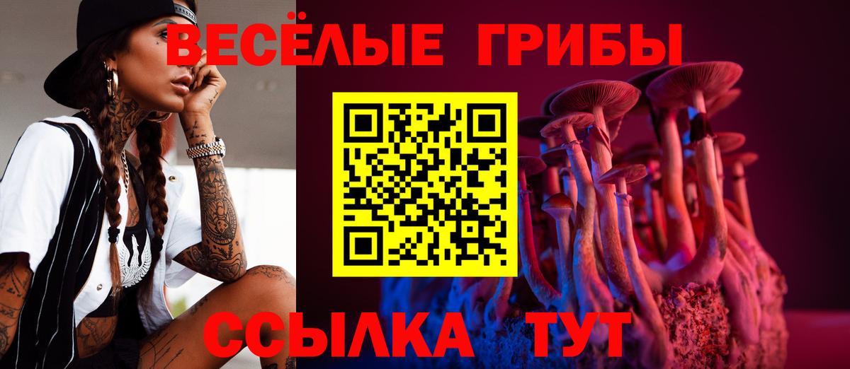 купить   Вход с VPN  Чебаркуль  Псилоцибиновые грибы мицелий 
